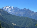 IMG_1452