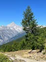 IMG_1464