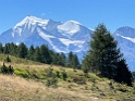 IMG_1466