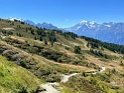 IMG_1483