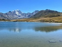 IMG_1527
