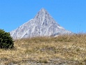 IMG_1545