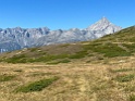 IMG_1559