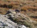 DSC00942