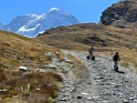 IMG_2207