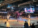 IMG_4235
