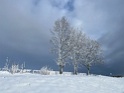 IMG_6801