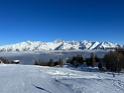 IMG_6918