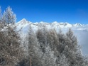 IMG_7174