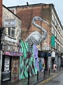 IMG_8450