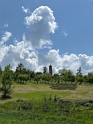 IMG_9880