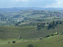 IMG_9904