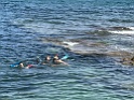 IMG_2435