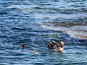 IMG_2437