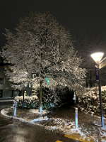 IMG_8702