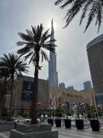 IMG_2042