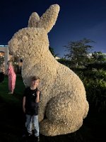 IMG_2115