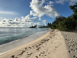 IMG_2216