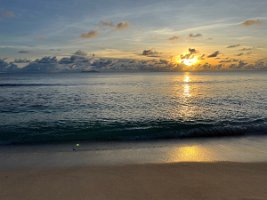 IMG_2273