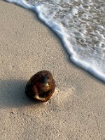 IMG_2285