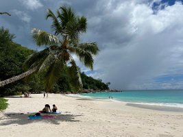 IMG_2432_2