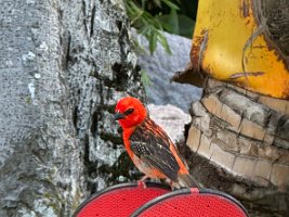 IMG_2558