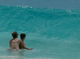IMG_2639_2