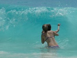 IMG_2640_2