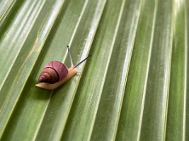 IMG_2913_2
