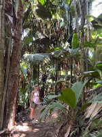 IMG_2924_2