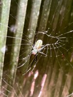 IMG_2943_2