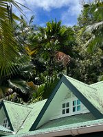 IMG_2968_2