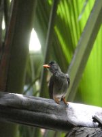 IMG_2977