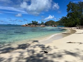 IMG_2994
