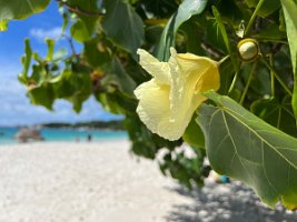 IMG_3026_2