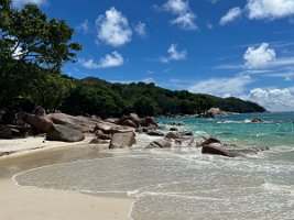 IMG_3036_2