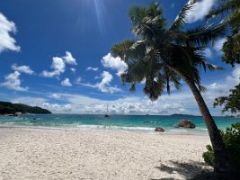 IMG_3049_2