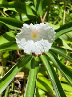 IMG_3085 copie