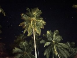 IMG_3265