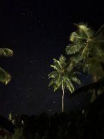 IMG_3289