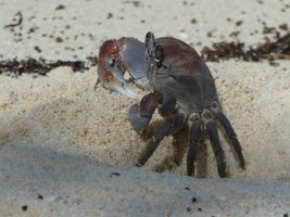 IMG_3304