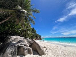 IMG_3369
