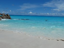 IMG_3417