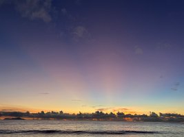 IMG_3695