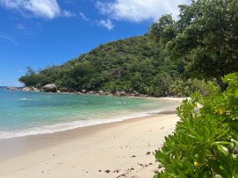 IMG_3715