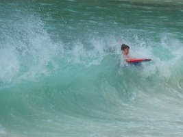 IMG_3790