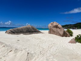 IMG_3937