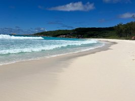 IMG_3940