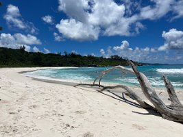 IMG_3984