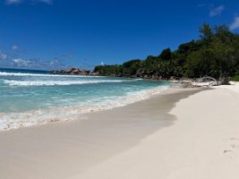 IMG_3988